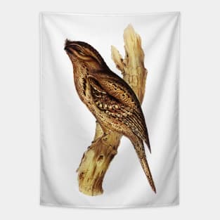 Australian Tawny Frogmouth Bird Illustration Tapestry