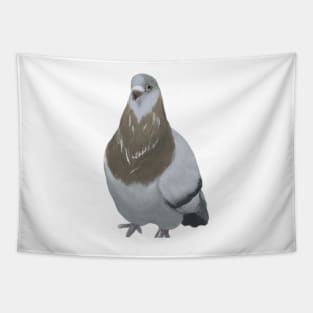 Cute Pigeon Drawing Tapestry