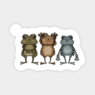 Frogs Magnet