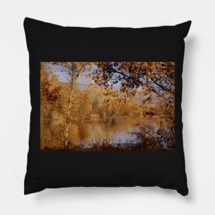 Far Side of the Pond Pillow