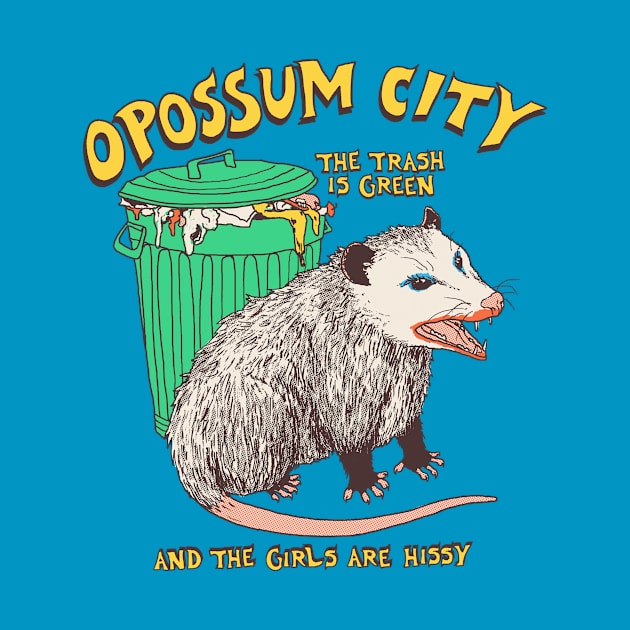 Opossum City by Hillary White Rabbit