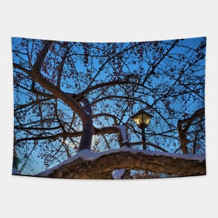 Lamp Post in the Trees Tapestry