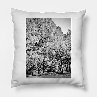 Oak Trees Pillow