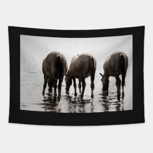 The taste of water Tapestry