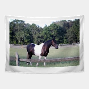 One Horse Pasture Tapestry