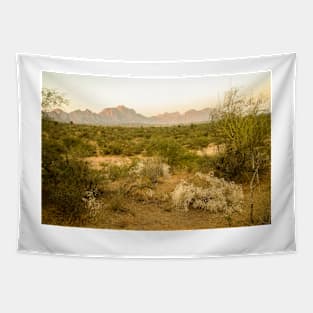 Rajasthan Sunset Tapestry