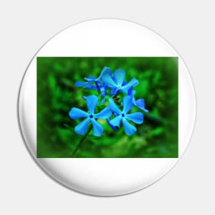 Blue Spring Pin