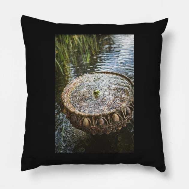 Wee Fountain Pillow by Errne