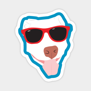 White Dog in Sunglasses Magnet