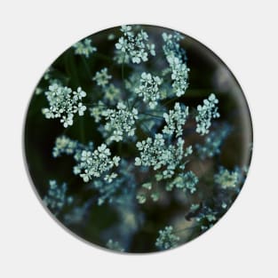 Cow Parsley Pin