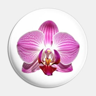 Pink Orchid Flower Art Print Pin