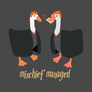 Magical Geese T-Shirt