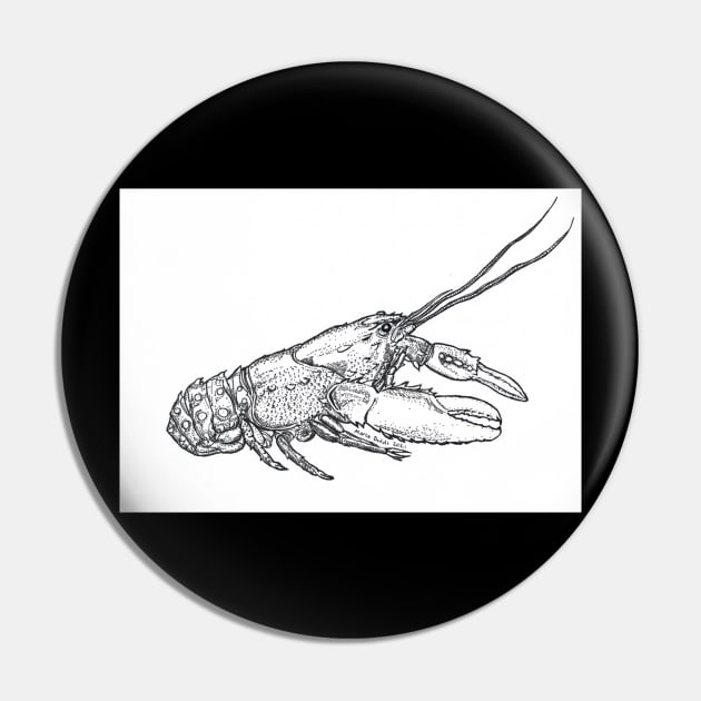 Australian Murray Crayfish Canvas Pin by ramseypmshahins