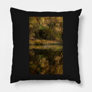 'Autumn Magic 5', Loch Dunmore, Pitlochry Pillow