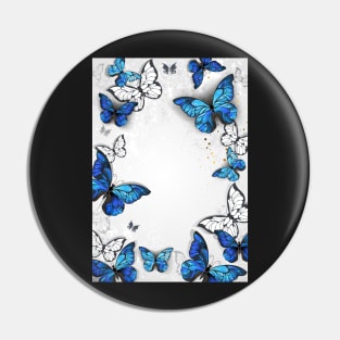 Frame with butterflies morpho Pin