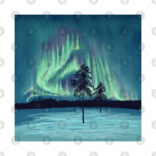 Northern lights camping by Aurealis