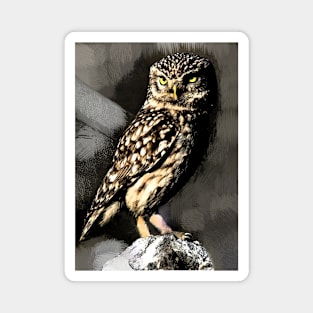 Night owl Magnet