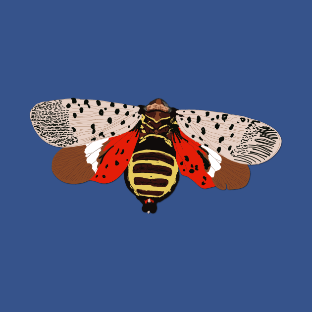 Lanternfly by DansLogoShop