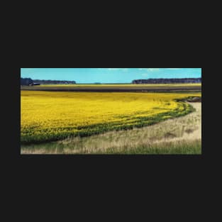 Canola Fields T-Shirt