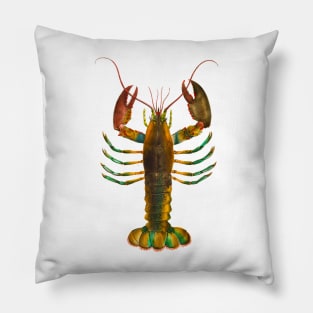 Colorful lobster shrimp in vintage illustration Pillow