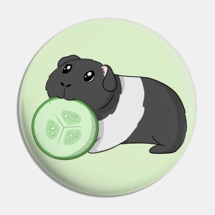 Guinea Pig Eating Cucumber Pin