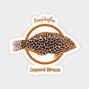 Leopard Wrasse Magnet