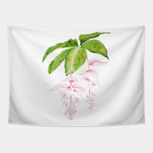 pink medinilla magnifica watercolor Tapestry