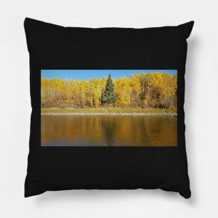 Singular spruce Pillow