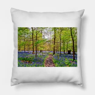 Bluebell Woods Greys Court England UK Pillow