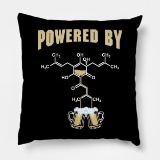 Beer Power Pillow