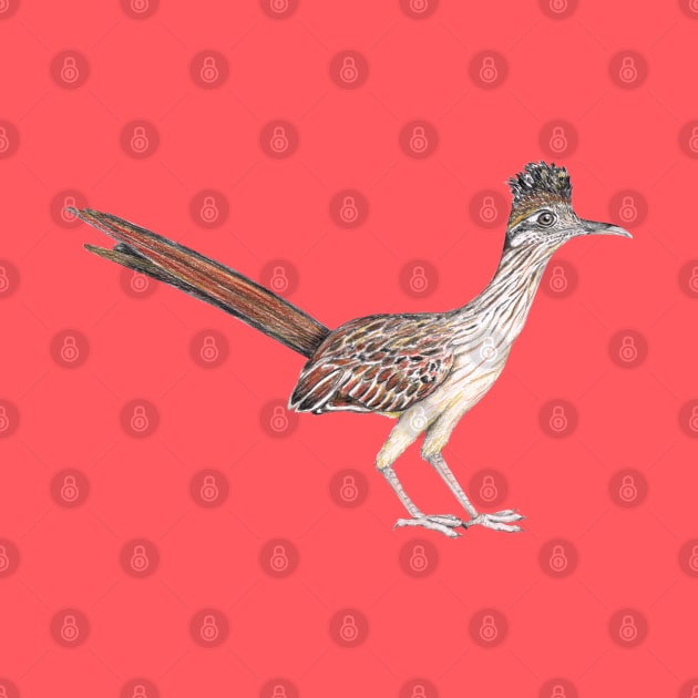 Roadrunner by Bwiselizzy