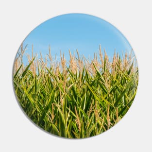 Corn Field Pin