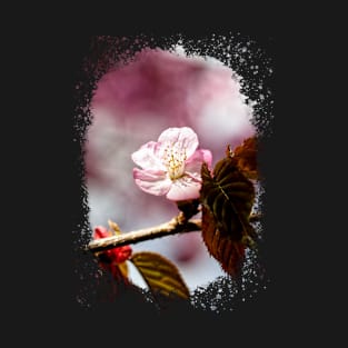 Sakura Flower - The Tale Of The Secret Garden T-Shirt