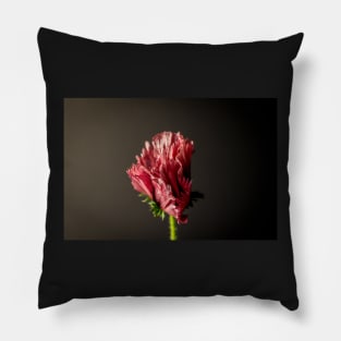 Frilly purple poppy flower Pillow