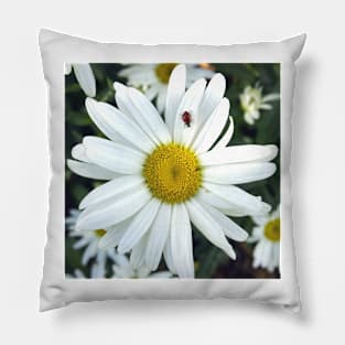 White Daisy Flower and Ladybug Pillow