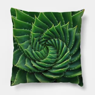 Green Cactus Photography Pillow