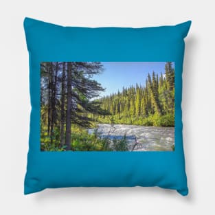 USA. Alaska. Denali National Park. Trees. Pillow