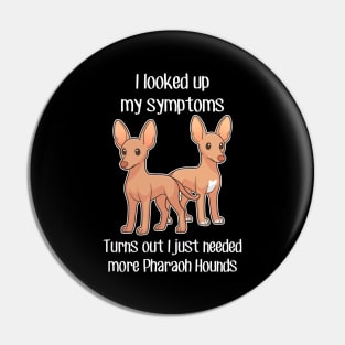 Need Pharaoh Hound Dog Pin