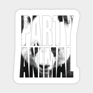 Party Animal Panda Magnet