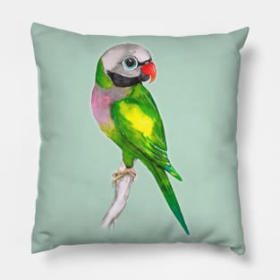 Moustached parakeet Pillow