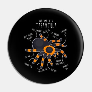 Tarantula Anatomy Pin