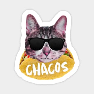 Cat tacos Magnet