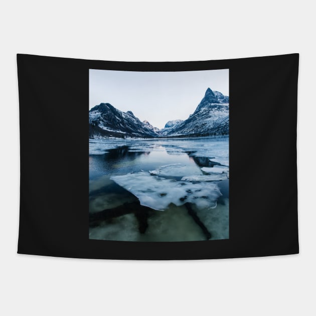 Ice Floating on Innerdalen Lake With Mountain Range on Freezing Winter Day Tapestry by visualspectrum