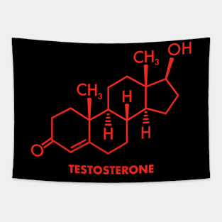 Testosterone Red Pill Masculinity Gym Bodybuilder Gift Tapestry