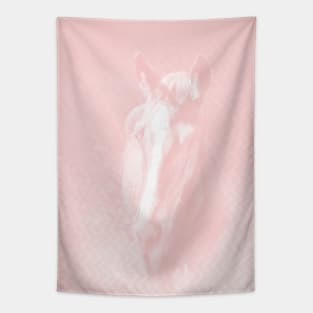 Horse emerging from the rose pink mist Tapestry