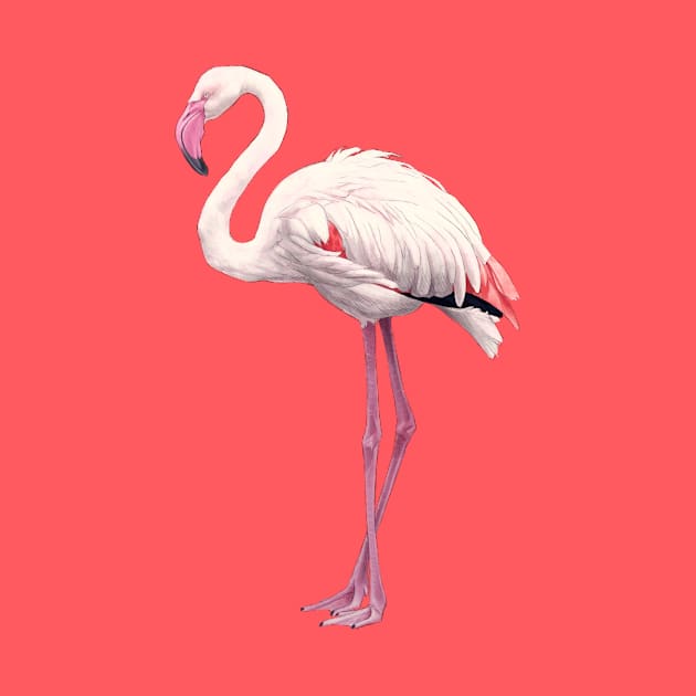 Flamingo by Atarial