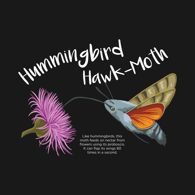 Hummingbird Hawk-Moth by Seamed Fit