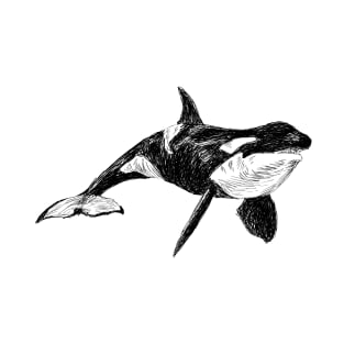 Killer Whale Image T-Shirt