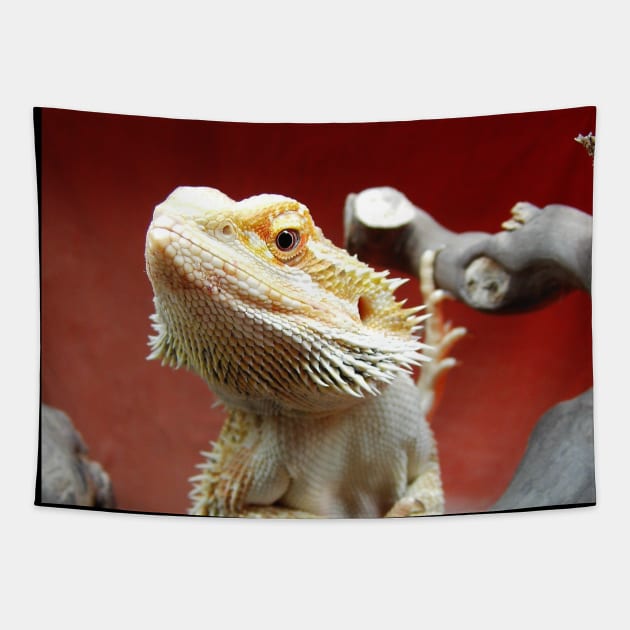 Bearded Dragon Tapestry by Sloth Station