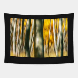 Aspens Abstract No.2 Tapestry